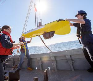 People working on boat.