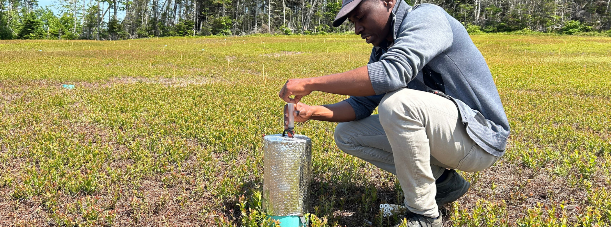 ECT-NS researcher demonstrates tech for wild blueberries field